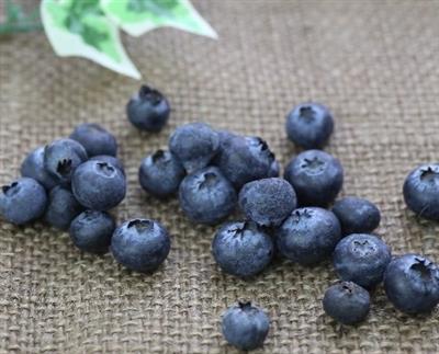 ブルーベリーサプリメント 効果 ランキング